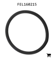 AGCO FEL160215 Уплотнительная шайба