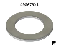 AGCO 400079X1 Шайба