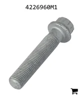 AGCO 4226960M1 Винт