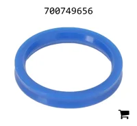 AGCO 700749656 Уплотнение