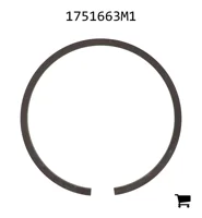 AGCO 1751663M1 Кольцо