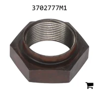 AGCO 3702777M1 Гайка