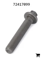 AGCO 72417099 Болт с шайбой
