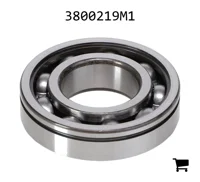 AGCO 3800219M1 Шариковый подшипник