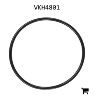 AGCO VKH4801 Уплотнительное кольцо