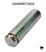 AGCO 246860071010 Болт