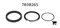 AGCO 7030265 Комплект уплотнений