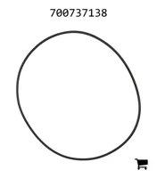 AGCO 700737138 Уплотнительное кольцо