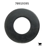 AGCO 70919395 Шайба