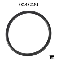 AGCO 3814821M1 Уплотнительное кольцо вала отбора мощности