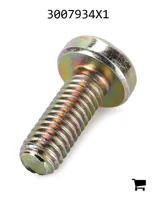 AGCO 3007934X1 Винт с полукруглой головкой