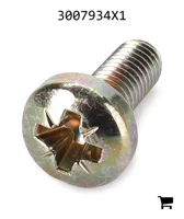 AGCO 3007934X1 Винт с полукруглой головкой