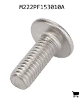 AGCO M222PF153010A Винт