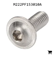 AGCO M222PF153010A Винт