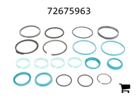 AGCO 72675963 Комплект уплотнений гидроцилиндра
