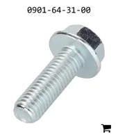 AGCO 0901-64-31-00 Винт