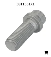 AGCO 3011551X1 Винт с 12-гранной головкой с фланцем