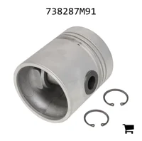 AGCO 738287M91 Поршень