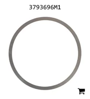 AGCO 3793696M1 Регулировочная шайба