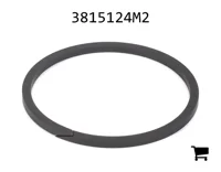AGCO 3815124M2 Сальник входного вала