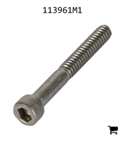 AGCO 113961M1 Винт