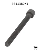 AGCO 3011389X1 Винт с цилиндрической головкой и шестигранным углублением