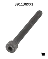 AGCO 3011389X1 Винт с цилиндрической головкой и шестигранным углублением