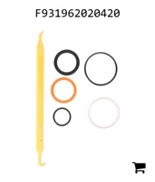 AGCO F931962020420 Ремкомплект клапана соединения