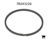 AGCO 70243226 Кольцо