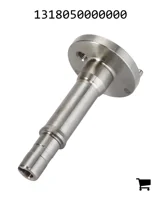 AGCO 1318050000000 Вал