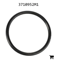 AGCO 3710952M1 Уплотнительное кольцо