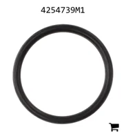 AGCO 4254739M1 Уплотнительное кольцо