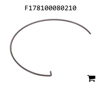 AGCO F178100080210 Синхронизирующая пружина