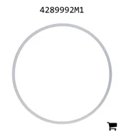 AGCO 4289992M1 Втулка