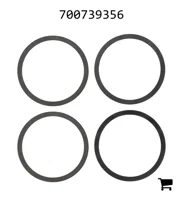 AGCO 700739356 Комплект регулировочных шайб