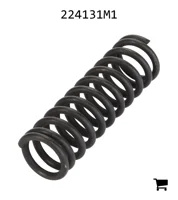 AGCO 224131M1 Пружина