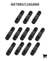 AGCO 0070065106000 Комплект запчастей