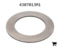 AGCO 4307013M1 Шайба