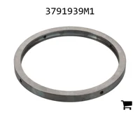 AGCO 3791939M1 Регулировочная шайба