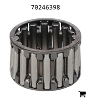 AGCO 70246398 Игольчатый роликовый подшипник