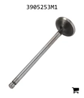 AGCO 3905253M1 Выпускной клапан