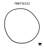 AGCO 700736323 Уплотнительное кольцо