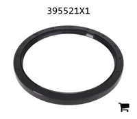 AGCO 395521X1 Радиальное уплотнительное кольцо