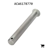 AGCO ACW6178770 Ось