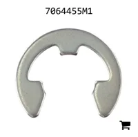 AGCO 7064455M1 Стопорное кольцо