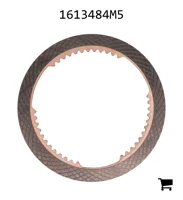 AGCO 1613484M5 Диск