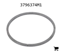 AGCO 3796374M1 Сегмент