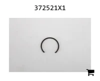 AGCO 372521X1 Стопорное кольцо