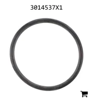 AGCO 3014537X1 Уплотнительное кольцо