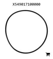 AGCO X549017100000 Уплотнительное кольцо